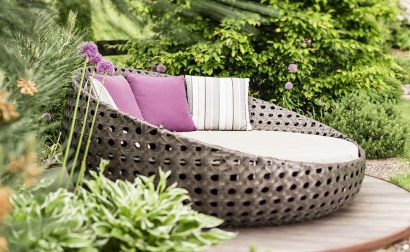 storm og modvind i wellness-haven