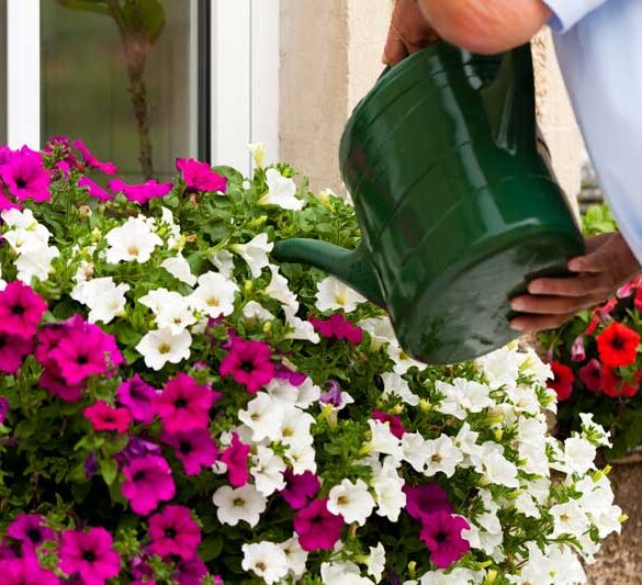 blomstervanding