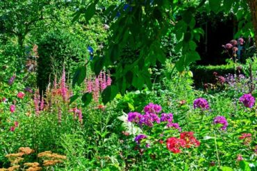 stauder