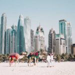 Der er mange oplevelser i Dubai - få insider-tips til at opleve Dubai som en lokal.