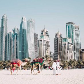 Der er mange oplevelser i Dubai få insider tips til at opleve Dubai som en lokal