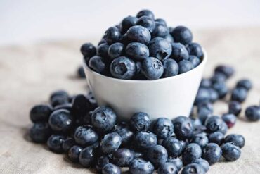 Blåbær kan dyrkes i haven eller på terrassen. Indholdet af antioxidanter er utroligt højt.