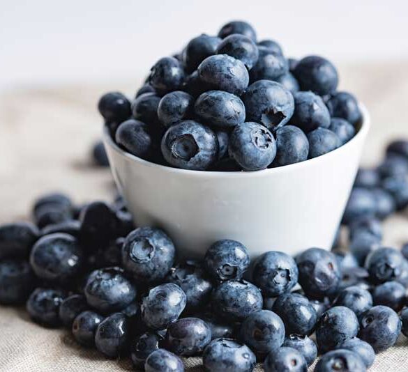 Blåbær kan dyrkes i haven eller på terrassen. Indholdet af antioxidanter er utroligt højt.