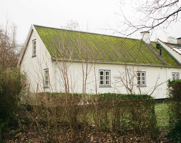 Er din bolig efterårsklar? Få en tjekliste her.
