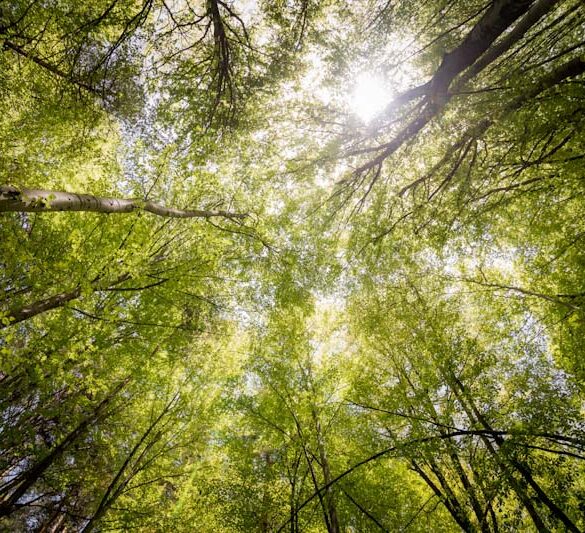 Tænk på planeten når du skal bruge emballage