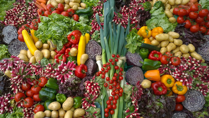 Planlæg din køkkenhave nu og få masser af grøntsager