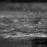 Regn kan give oversvømmelse i haven. Undgå haven drukner med 7 gode råd