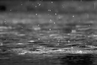 Regn kan give oversvømmelse i haven. Undgå haven drukner med 7 gode råd