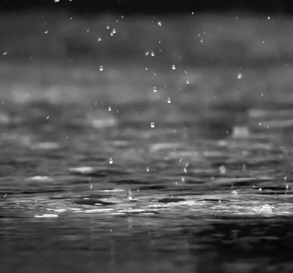 Regn kan give oversvømmelse i haven. Undgå haven drukner med 7 gode råd