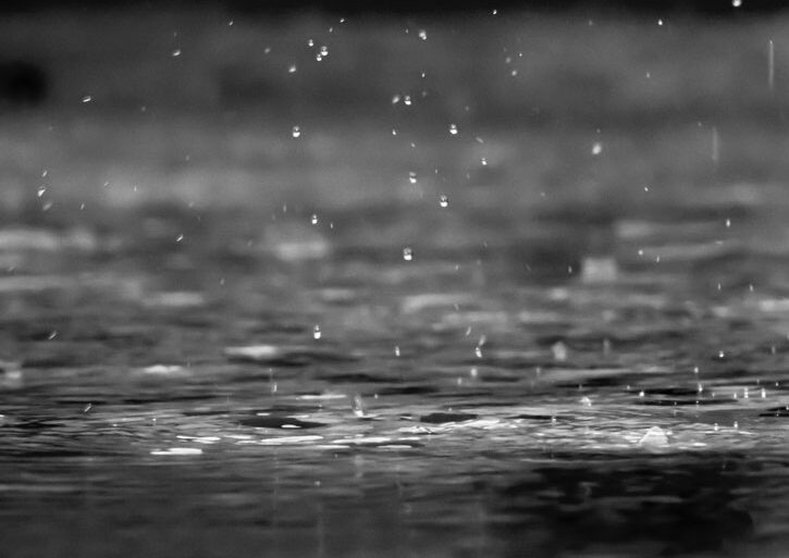 Regn kan give oversvømmelse i haven. Undgå haven drukner med 7 gode råd