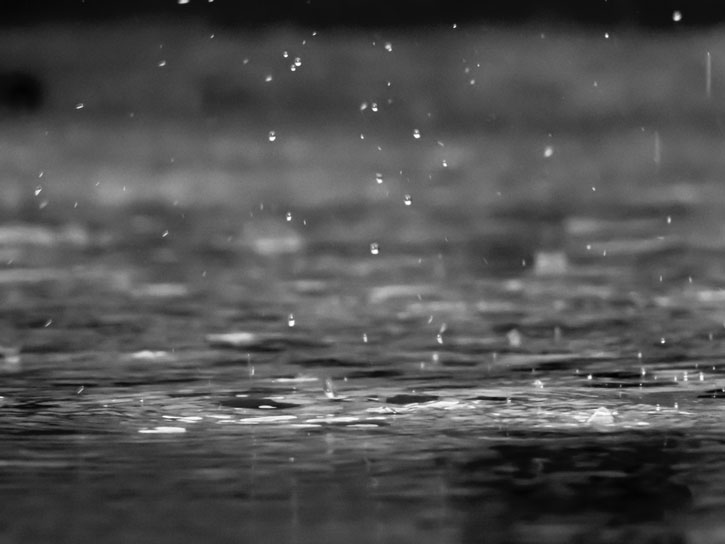 Regn kan give oversvømmelse i haven Undgå haven drukner med 7 gode råd