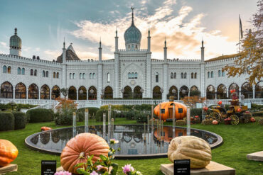 tivoli græskar