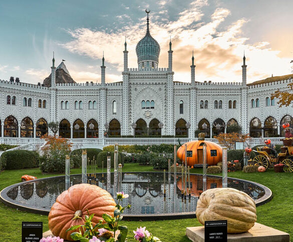 tivoli græskar