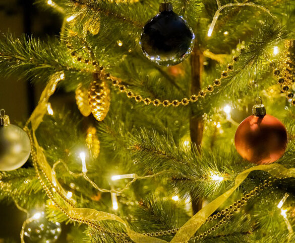 indbrudssikring med hyggeligt Juletræ med lys