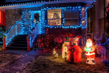 lyskæder og julelys i haven