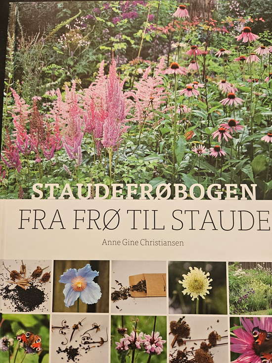 Staudefrøbogen fra frø til staude