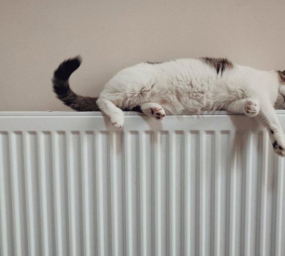 Luft ud i din radiator for at få optimal varme