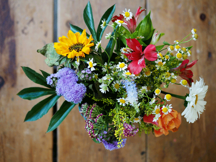 Blomsterbuket med sommerblomster. En fin buket