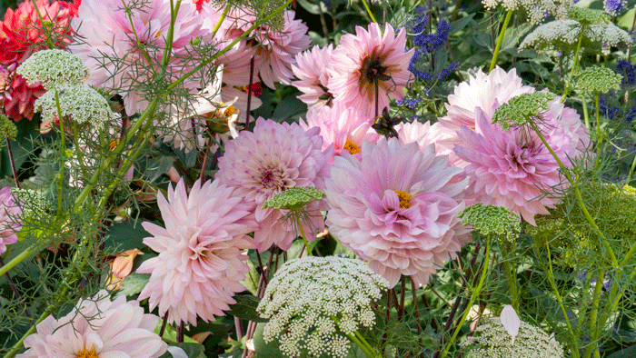 sommerløg1 - Hus & Have Avisen sommerløg Monet Garden Giverny 2023