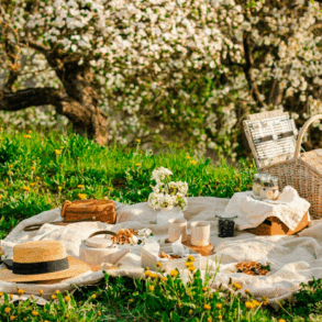 Picnic i haven