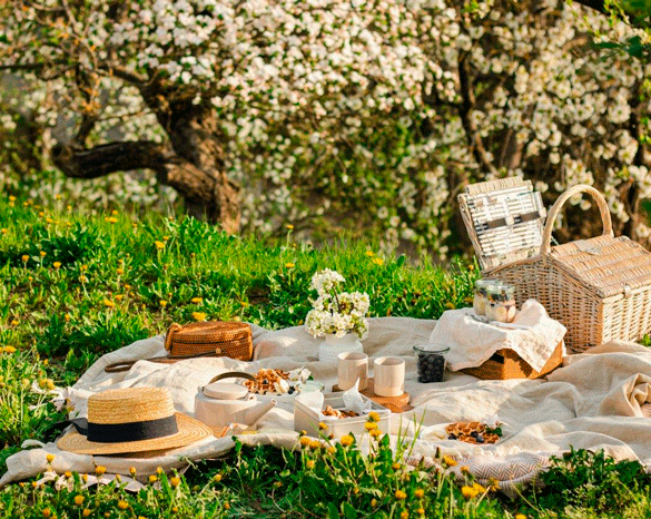 Picnic i haven