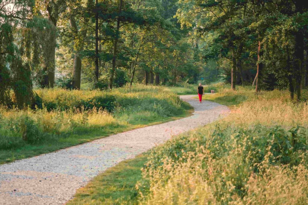 freecompress-gå i naturen om foråret - Hus & Have Avisen gåtur i naturen om foråret