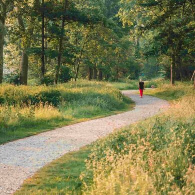 gåtur i naturen om foråret