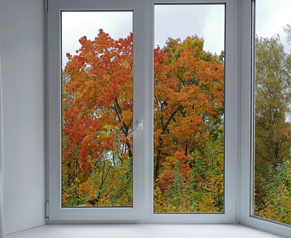 vinduer og efterår