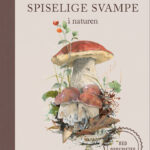 Spiselige svampe