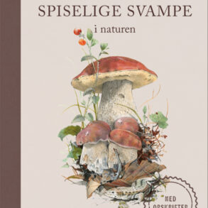 Spiselige svampe