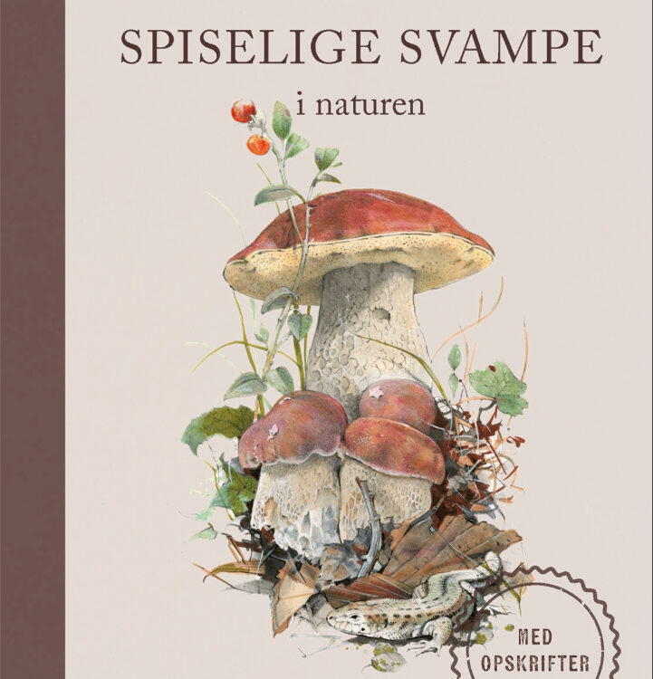 Spiselige svampe