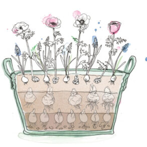 blomsterløg i lag